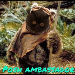 Your friendly neighborhood posh ambassador!